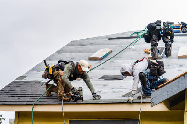 Professional Gutter Installation technician working in West Orange, TX